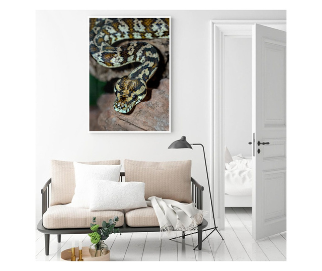 Plakat w ramce, King Snake, 42 x 30 cm, biała ramka