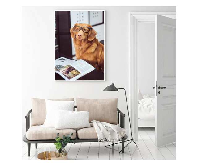 Plakat w ramce, Learning Dog, 42 x 30 cm, biała ramka