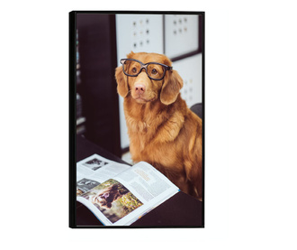 Plakat w ramce, Learning Dog, 50x 70 cm, czarna ramka