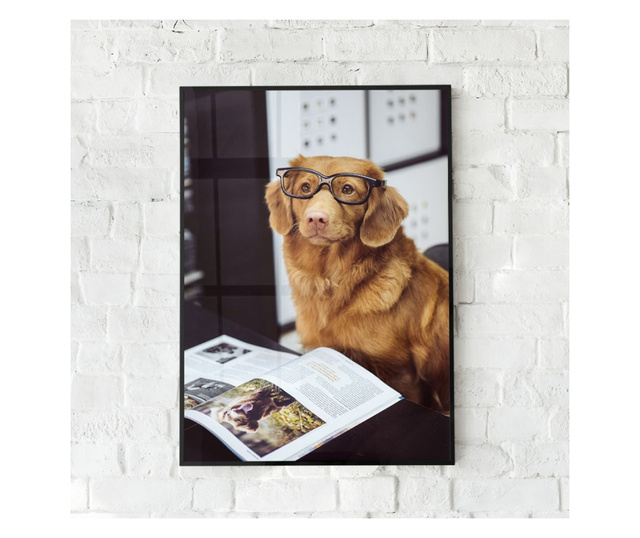 Plakat w ramce, Learning Dog, 42 x 30 cm, czarna ramka