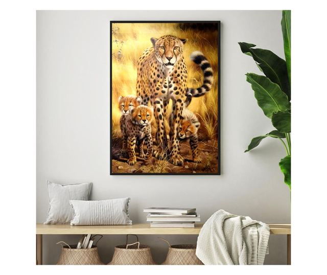 Uokvireni Plakati, Leopard in Safari, 50x 70 cm, Črn okvir