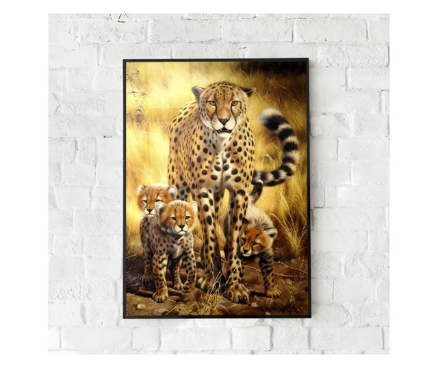 Uokvireni Plakati, Leopard in Safari, 50x 70 cm, Črn okvir