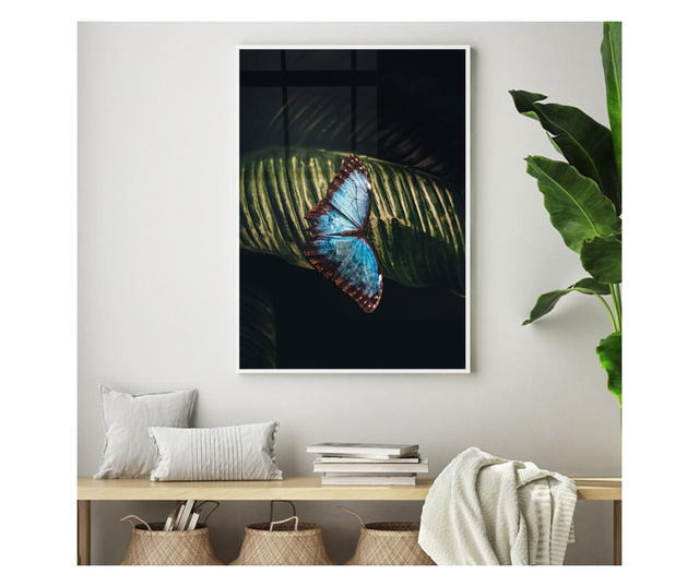 Uokvireni Plakati, Light Blue Butterfly, 60x40 cm, Bijeli okvir
