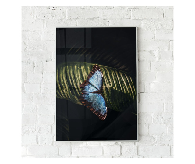 Uokvireni Plakati, Light Blue Butterfly, 42 x 30 cm, Bijeli okvir