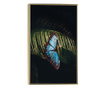 Uokvireni Plakati, Light Blue Butterfly, 80x60 cm, Zlatni okvir