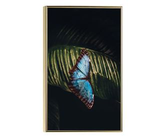 Uokvireni Plakati, Light Blue Butterfly, 80x60 cm, Zlatni okvir