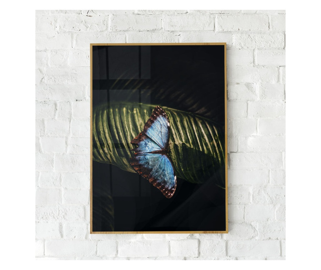 Uokvireni Plakati, Light Blue Butterfly, 80x60 cm, Zlatni okvir
