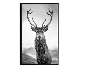Plakat w ramce, Monarch of The Forest, 50x 70 cm, czarna ramka