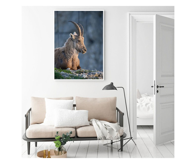 Plakat w ramce, Mountain Goat, 60x40 cm, biała ramka
