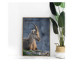 Plakat w ramce, Mountain Goat, 42 x 30 cm, złota rama