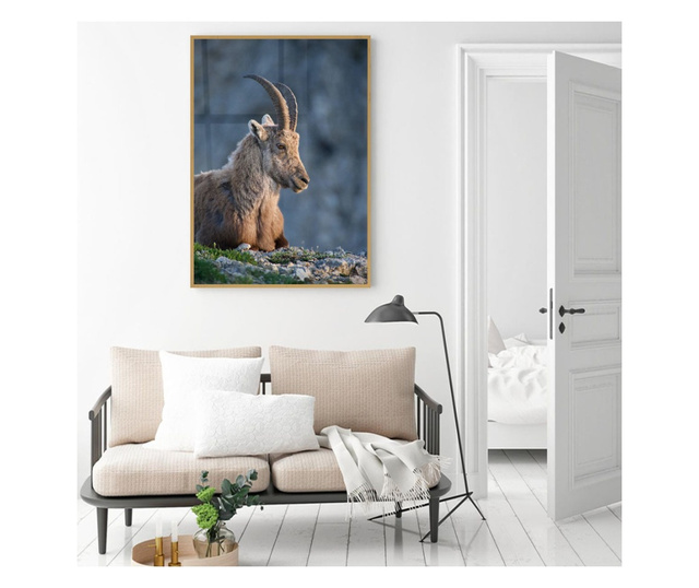 Plakat w ramce, Mountain Goat, 50x 70 cm, złota rama