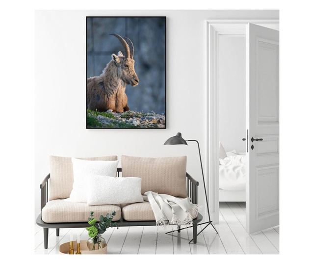 Plakat w ramce, Mountain Goat, 50x 70 cm, czarna ramka
