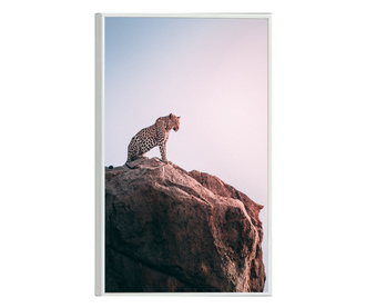 Plakat w ramce, Mountain Leopard, 80x60 cm, biała ramka