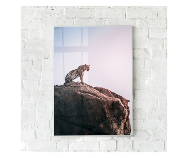 Plakat w ramce, Mountain Leopard, 42 x 30 cm, biała ramka