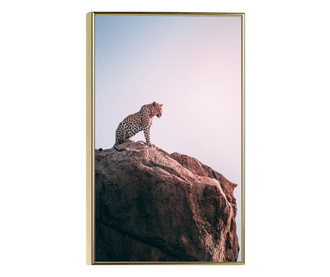 Uokvireni Plakati, Mountain Leopard, 80x60 cm, Zlatni okvir