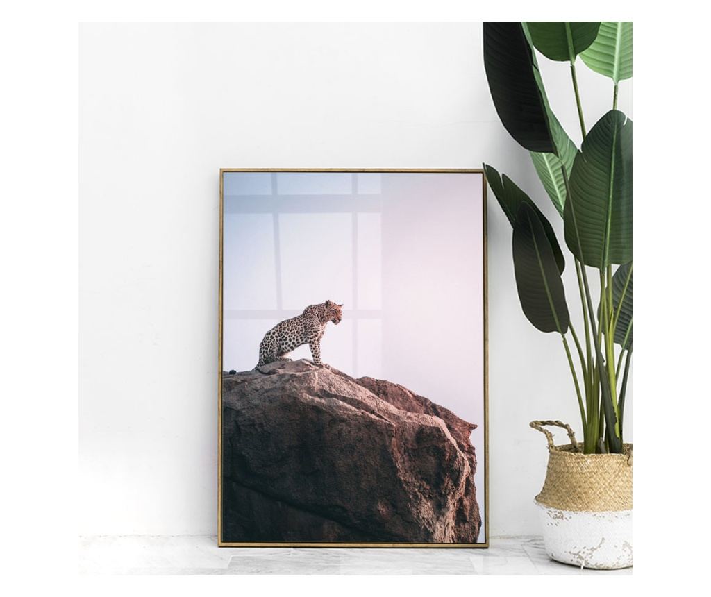 Uokvireni Plakati, Mountain Leopard, 80x60 cm, Zlatni okvir - 3
