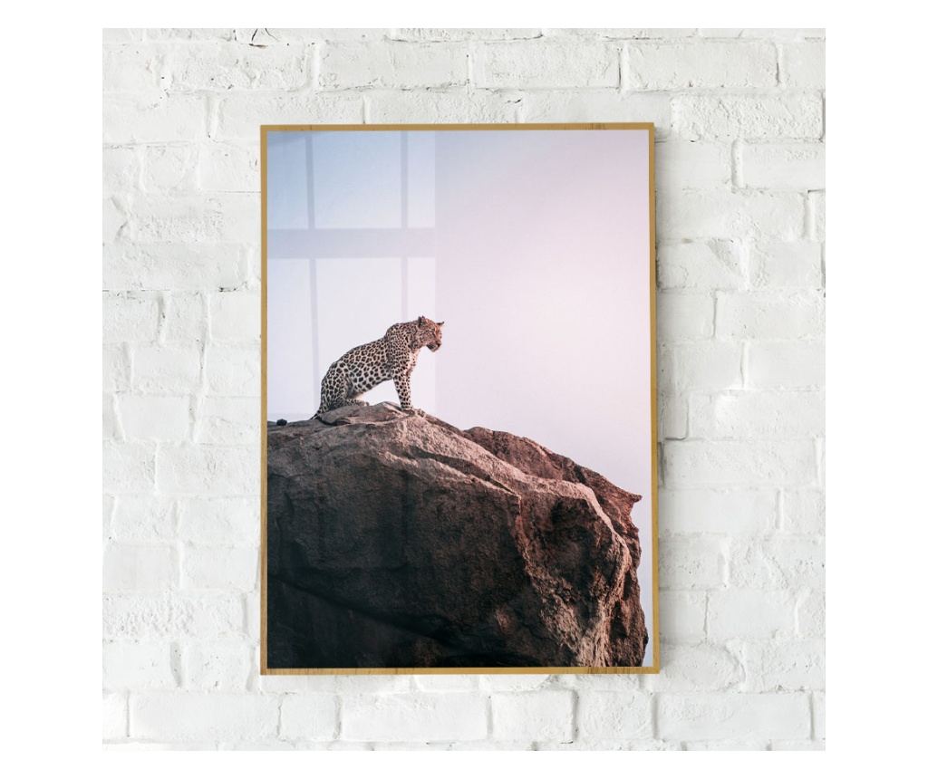 Uokvireni Plakati, Mountain Leopard, 80x60 cm, Zlatni okvir - 4