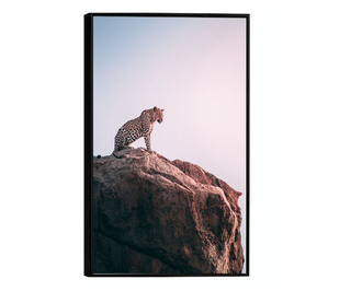 Plakat w ramce, Mountain Leopard, 21 x 30 cm, czarna ramka