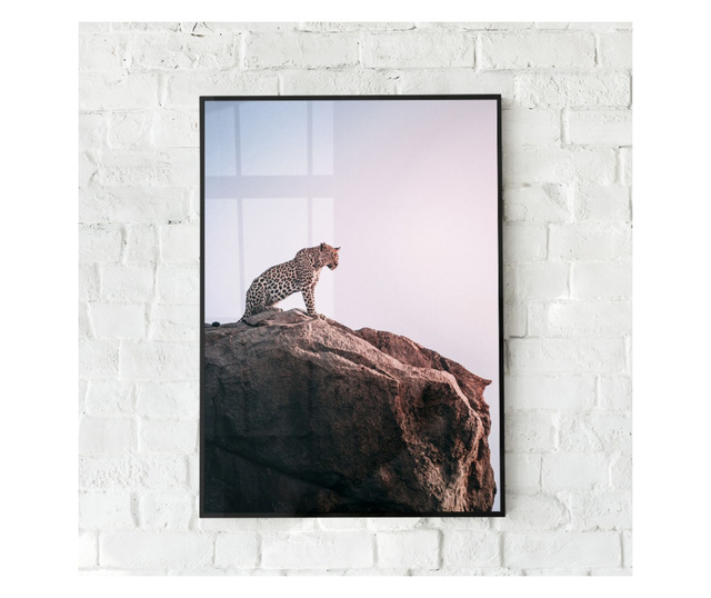 Plakat w ramce, Mountain Leopard, 50x 70 cm, czarna ramka