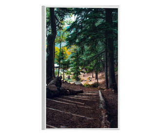 Plakat w ramce, Peacefull Forest, 60x40 cm, biała ramka