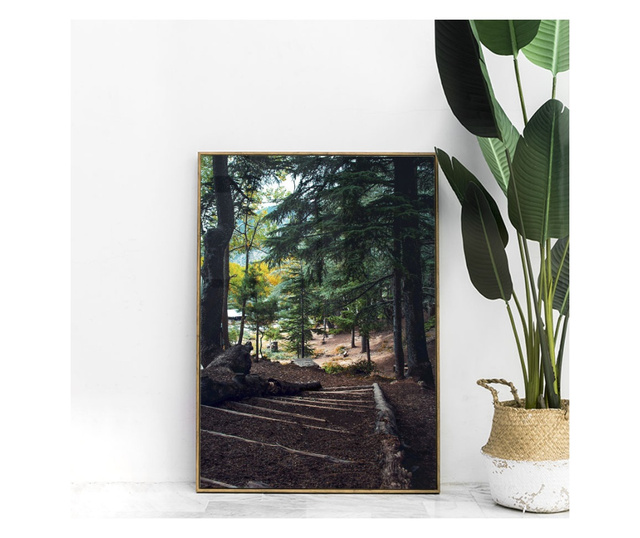 Plakat w ramce, Peacefull Forest, 60x40 cm, złota rama