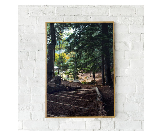 Plakat w ramce, Peacefull Forest, 21 x 30 cm, złota rama