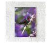 Plakat w ramce, Purple Bird, 60x40 cm, biała ramka