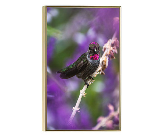Plakat w ramce, Purple Bird, 42 x 30 cm, złota rama