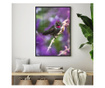 Plakat w ramce, Purple Bird, 80x60 cm, czarna ramka