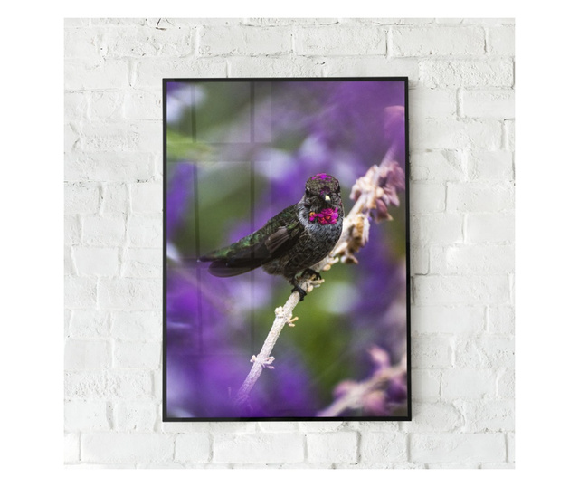 Plakat w ramce, Purple Bird, 42 x 30 cm, czarna ramka