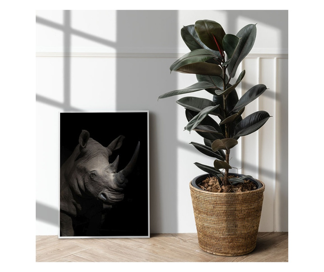 Uokvireni Plakati, Rhino in The Dark, 50x 70 cm, Bijeli okvir