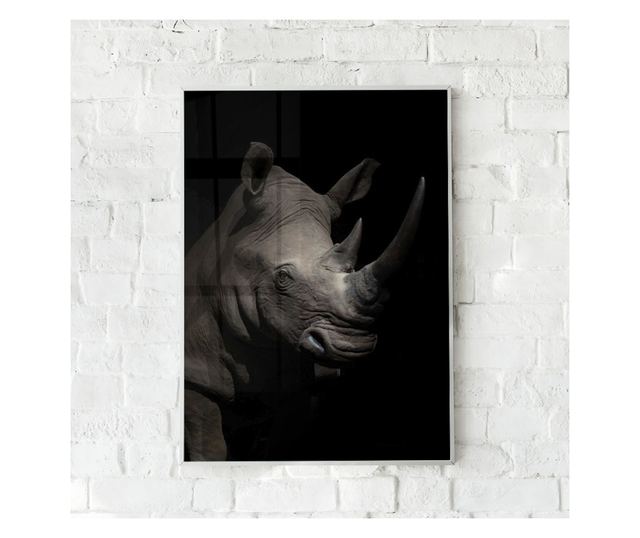 Uokvireni Plakati, Rhino in The Dark, 50x 70 cm, Bijeli okvir