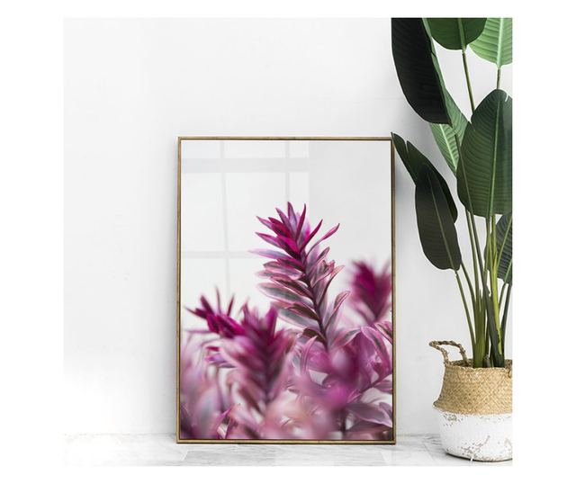 Uokvireni Plakati, Selective Tropical Pink, 21 x 30 cm, Zlatni okvir