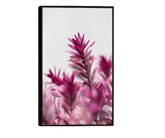 Uokvireni Plakati, Selective Tropical Pink, 60x40 cm, Crni okvir