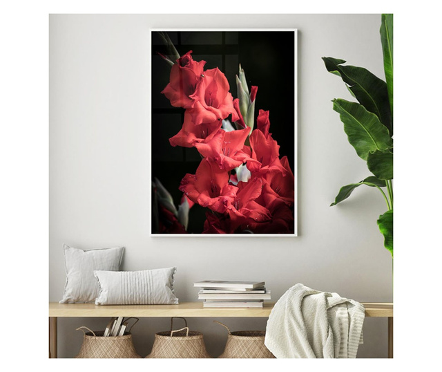 Plakat w ramce, Vibrant Red Flowers, 50x 70 cm, biała ramka