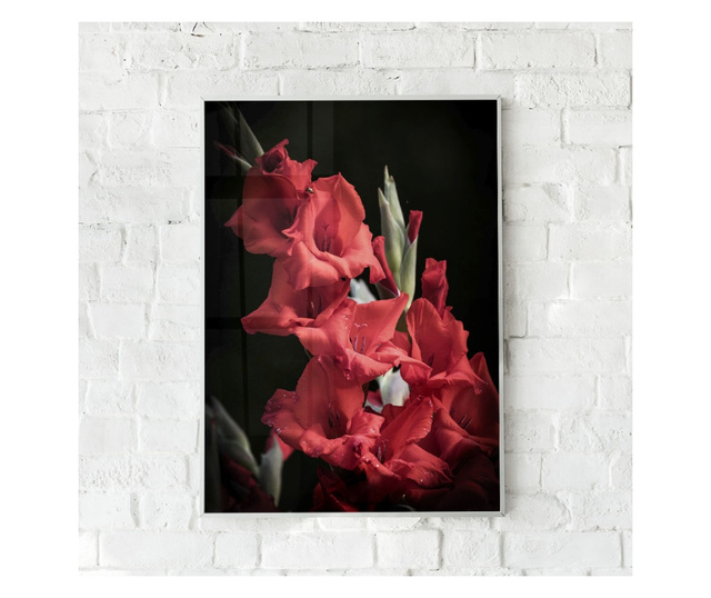 Plakat w ramce, Vibrant Red Flowers, 60x40 cm, biała ramka