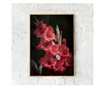Plakat w ramce, Vibrant Red Flowers, 80x60 cm, złota rama
