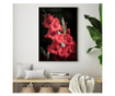 Plakat w ramce, Vibrant Red Flowers, 42 x 30 cm, czarna ramka