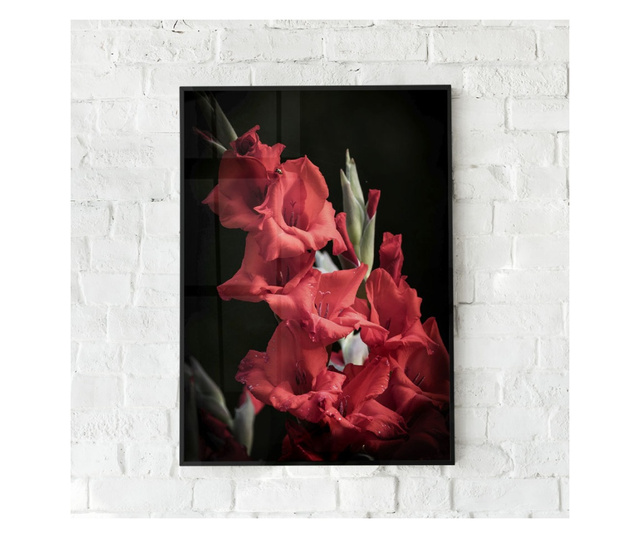Plakat w ramce, Vibrant Red Flowers, 80x60 cm, czarna ramka