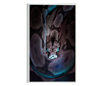 Plakat w ramce, Vibrant Snake, 80x60 cm, biała ramka