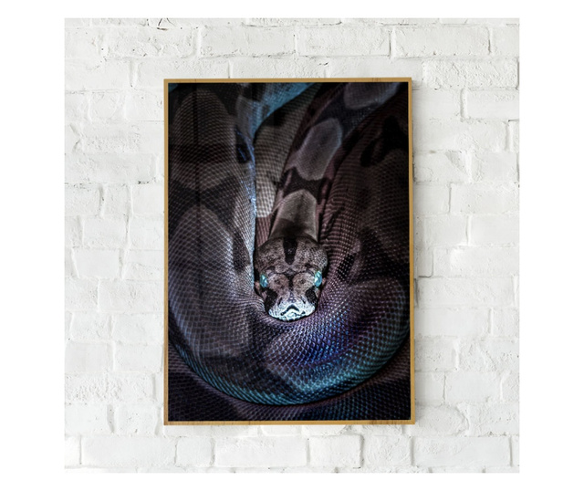 Plakat w ramce, Vibrant Snake, 80x60 cm, złota rama