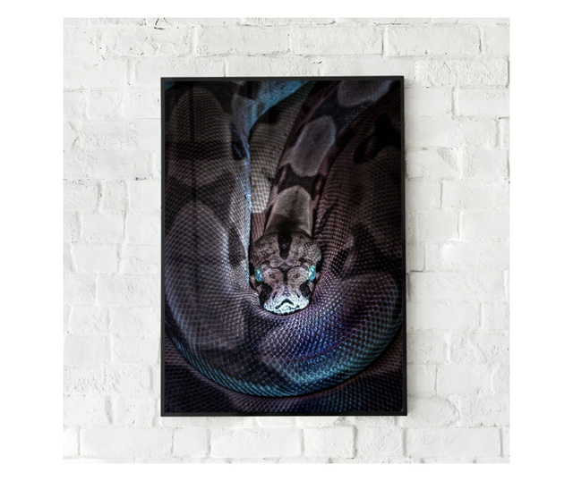 Uokvireni Plakati, Vibrant Snake, 21 x 30 cm, Crni okvir