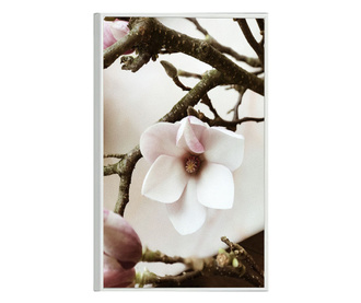 Uokvireni Plakati, White Flower Tree, 50x 70 cm, Bijeli okvir