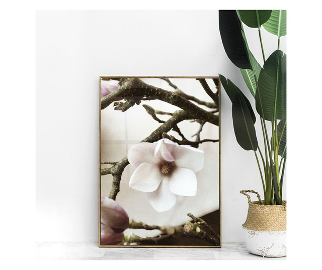 Plakat w ramce, White Flower Tree, 50x 70 cm, złota rama