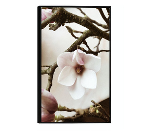 Plakat w ramce, White Flower Tree, 42 x 30 cm, czarna ramka