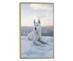 Uokvireni Plakati, White Husky, 60x40 cm, Zlatni okvir