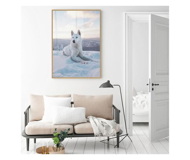 Uokvireni Plakati, White Husky, 60x40 cm, Zlatni okvir