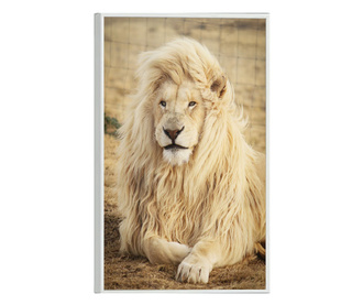 Plakat w ramce, White Lion, 80x60 cm, biała ramka
