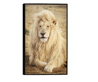 Plakat w ramce, White Lion, 60x40 cm, czarna ramka