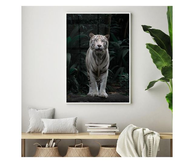 Uokvireni Plakati, White Tiger, 42 x 30 cm, Bijeli okvir